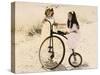 Two Little Girls by an Old Fashioned Bicycle-Nora Hernandez-Stretched Canvas