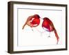 Two Little Ink Birds, 2014,-Nancy Moniz Charalambous-Framed Giclee Print