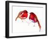 Two Little Ink Birds, 2014,-Nancy Moniz Charalambous-Framed Giclee Print