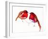 Two Little Ink Birds, 2014,-Nancy Moniz Charalambous-Framed Giclee Print