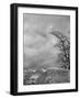 Two Little Lambs Playing in a Field-David Scherman-Framed Photographic Print