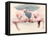 Two Little Piggies, 2012-Alison Cooper-Framed Stretched Canvas