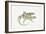 Two Lizards-null-Framed Giclee Print