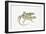 Two Lizards-null-Framed Giclee Print