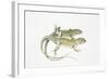 Two Lizards-null-Framed Giclee Print