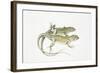 Two Lizards-null-Framed Giclee Print