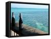 Two Local Beers on Ledge at Popular Bar, Palapa Bar, San Pedro-null-Framed Stretched Canvas