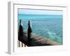 Two Local Beers on Ledge at Popular Bar, Palapa Bar, San Pedro-null-Framed Photographic Print