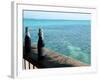 Two Local Beers on Ledge at Popular Bar, Palapa Bar, San Pedro-null-Framed Photographic Print