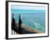 Two Local Beers on Ledge at Popular Bar, Palapa Bar, San Pedro-null-Framed Photographic Print