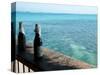 Two Local Beers on Ledge at Popular Bar, Palapa Bar, San Pedro-null-Stretched Canvas