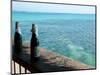 Two Local Beers on Ledge at Popular Bar, Palapa Bar, San Pedro-null-Mounted Photographic Print