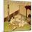 Two Lovers, C1750-Suzuki Harunobu-Mounted Giclee Print