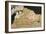 Two Lovers with Night Background-Isoda Koryusai-Framed Giclee Print