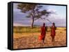 Two Maasai Morans Walking with Spears at Sunset, Amboseli National Park, Kenya-Alison Jones-Framed Stretched Canvas