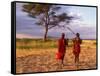 Two Maasai Morans Walking with Spears at Sunset, Amboseli National Park, Kenya-Alison Jones-Framed Stretched Canvas