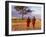 Two Maasai Morans Walking with Spears at Sunset, Amboseli National Park, Kenya-Alison Jones-Framed Premium Photographic Print