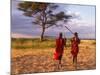 Two Maasai Morans Walking with Spears at Sunset, Amboseli National Park, Kenya-Alison Jones-Mounted Photographic Print