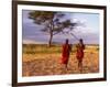 Two Maasai Morans Walking with Spears at Sunset, Amboseli National Park, Kenya-Alison Jones-Framed Photographic Print