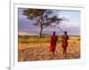 Two Maasai Morans Walking with Spears at Sunset, Amboseli National Park, Kenya-Alison Jones-Framed Photographic Print