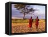 Two Maasai Morans Walking with Spears at Sunset, Amboseli National Park, Kenya-Alison Jones-Framed Stretched Canvas