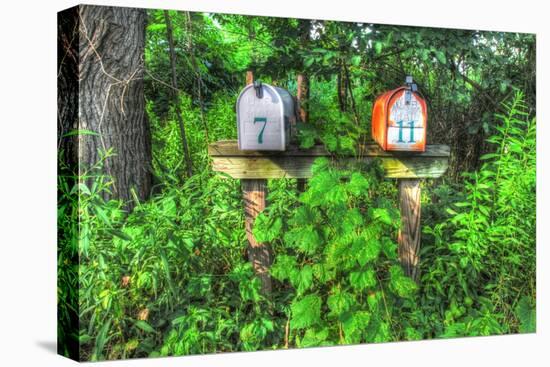 Two Mailboxes-Robert Goldwitz-Stretched Canvas