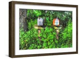 Two Mailboxes-Robert Goldwitz-Framed Giclee Print