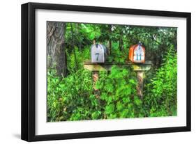 Two Mailboxes-Robert Goldwitz-Framed Giclee Print