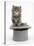 Two Maine Coon Kittens, 7 Weeks, in a Grey Top Hat-Mark Taylor-Stretched Canvas