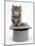 Two Maine Coon Kittens, 7 Weeks, in a Grey Top Hat-Mark Taylor-Mounted Photographic Print