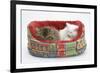 Two Maine Coon Kittens, 8 Weeks, Sleeping in a Cat Bed-Mark Taylor-Framed Photographic Print