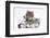 Two Maine Coon Kittens, 8 Weeks-Mark Taylor-Framed Photographic Print