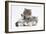 Two Maine Coon Kittens, 8 Weeks-Mark Taylor-Framed Photographic Print