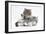 Two Maine Coon Kittens, 8 Weeks-Mark Taylor-Framed Photographic Print