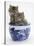 Two Maine Coon Kittens in a Blue China Pot-Mark Taylor-Stretched Canvas