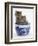 Two Maine Coon Kittens in a Blue China Pot-Mark Taylor-Framed Photographic Print