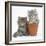 Two Maine Coon Kittens Playing in a Terracotta Flowerpot-Mark Taylor-Framed Photographic Print