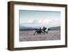 Two male Black grouse fighting for territory on lek, Scotland-null-Framed Photographic Print