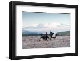 Two male Black grouse fighting for territory on lek, Scotland-null-Framed Photographic Print