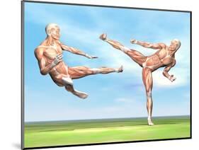 Two Male Musculatures Fighting Martial Arts-null-Mounted Art Print