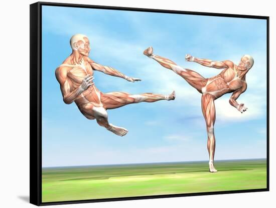 Two Male Musculatures Fighting Martial Arts-null-Framed Stretched Canvas