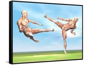 Two Male Musculatures Fighting Martial Arts-null-Framed Stretched Canvas