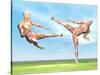 Two Male Musculatures Fighting Martial Arts-null-Stretched Canvas