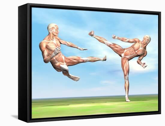 Two Male Musculatures Fighting Martial Arts-null-Framed Stretched Canvas