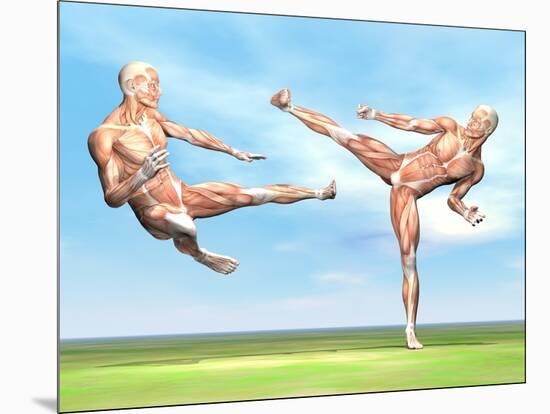 Two Male Musculatures Fighting Martial Arts-null-Mounted Art Print