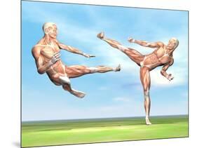 Two Male Musculatures Fighting Martial Arts-null-Mounted Art Print