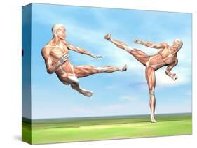 Two Male Musculatures Fighting Martial Arts-null-Stretched Canvas