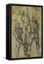 Two Male Nudes Lifting up a Third Man-Michelangelo Buonarroti-Framed Stretched Canvas