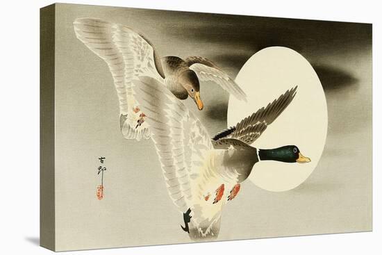 Two Mallard Ducks and the Moon-Koson Ohara-Stretched Canvas