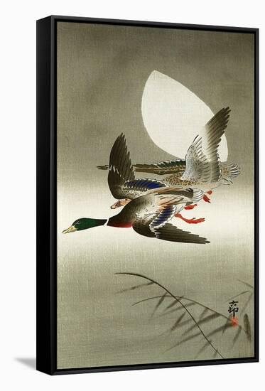 Two Mallards-Koson Ohara-Framed Stretched Canvas